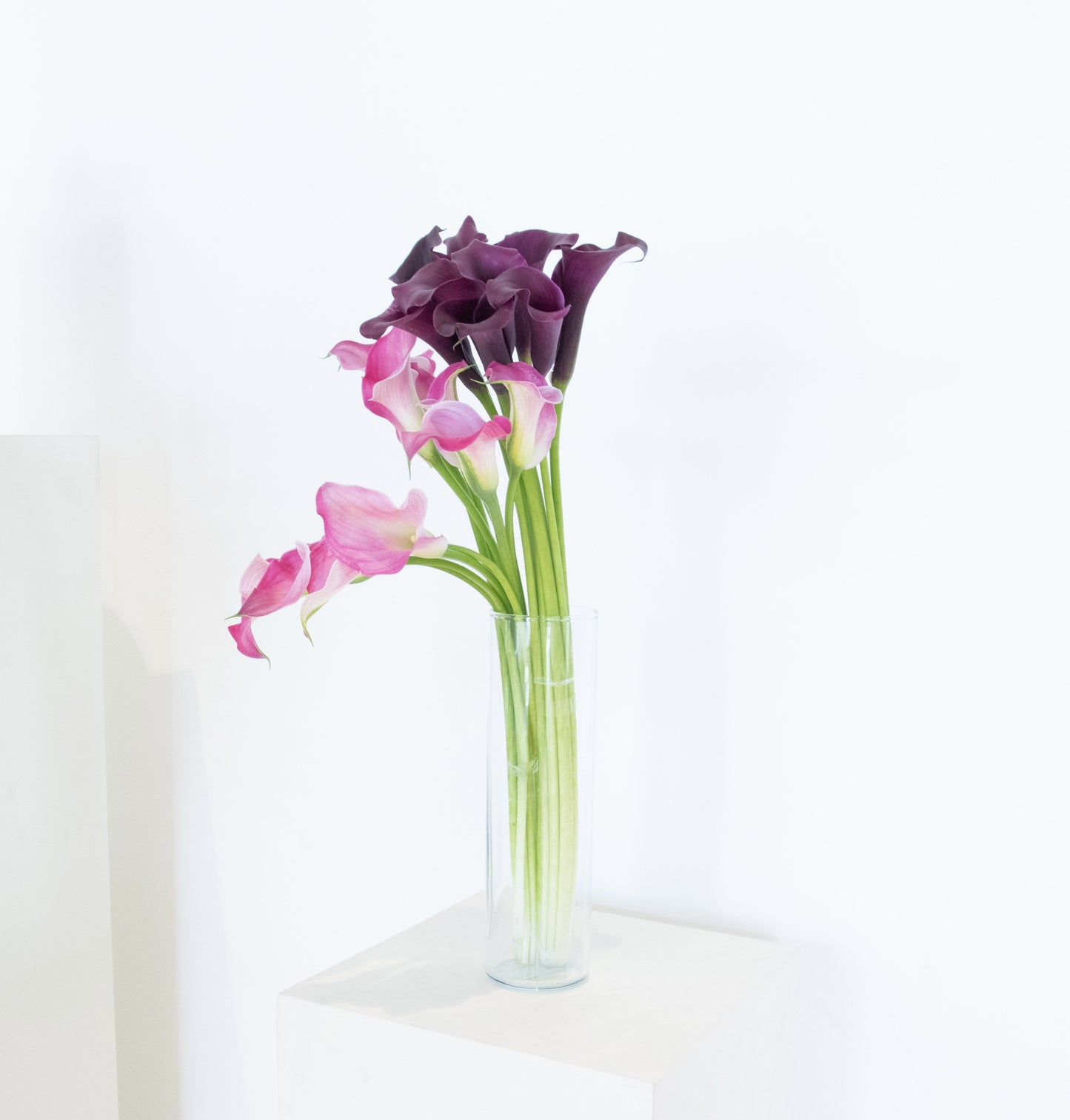 Local Calla Lily (10pcs)